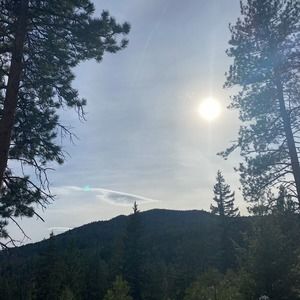 Meet your Posher, Dawson